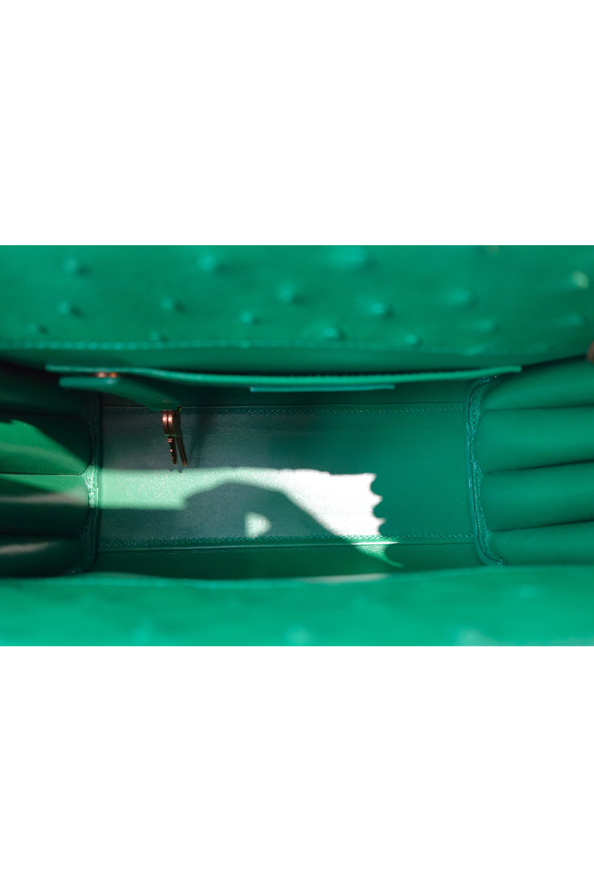 Sac De Jour In Ostriche Leather Green Nano - New Unworn