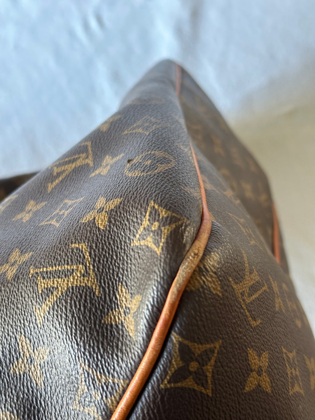 Louis Vuitton Delightful