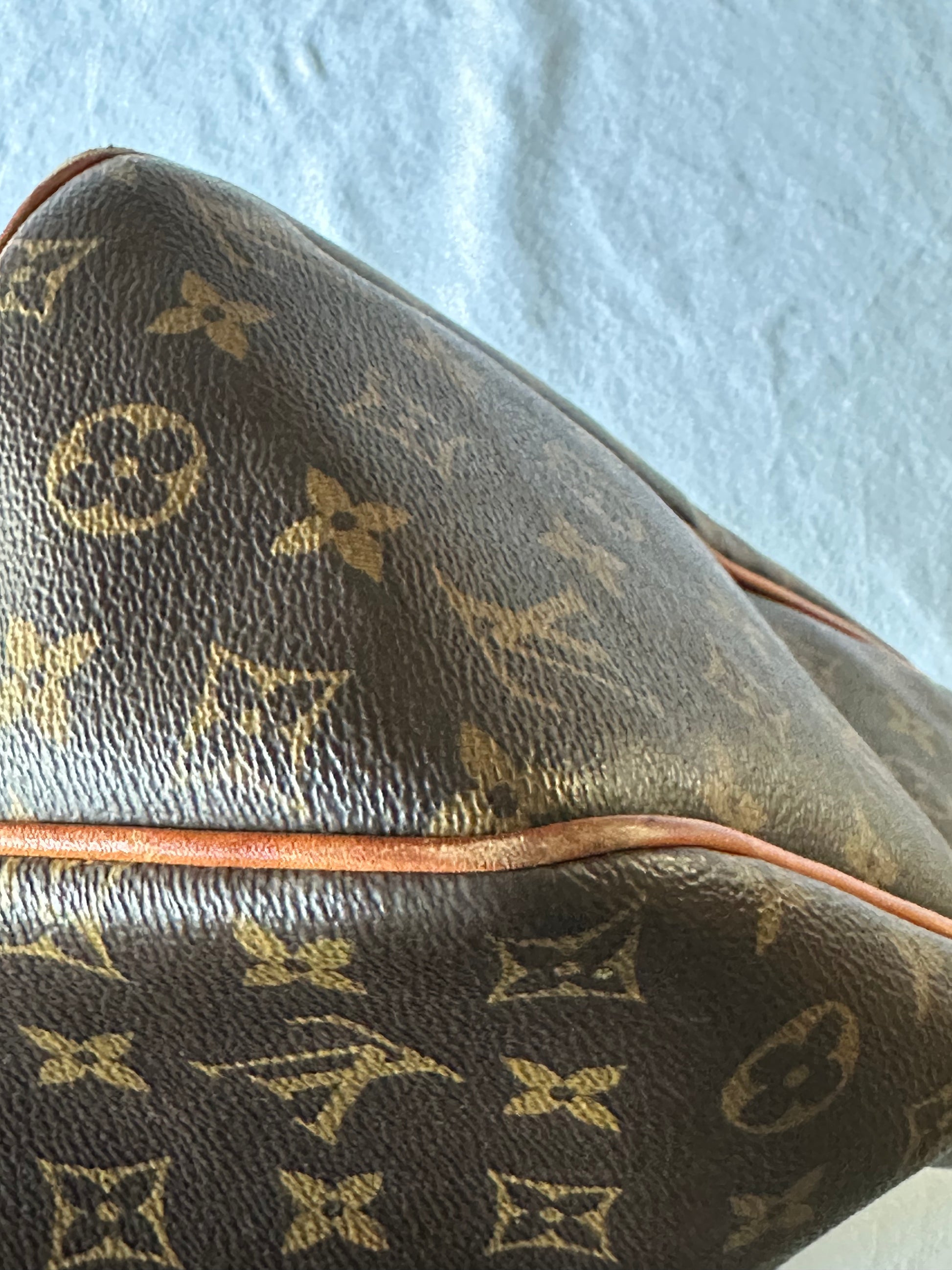 Louis Vuitton Delightful