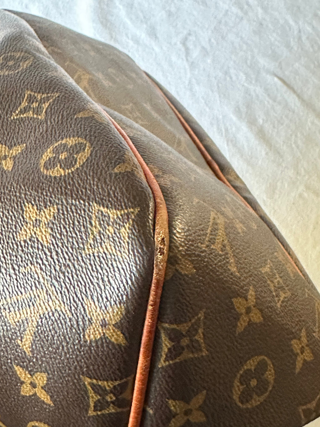 Louis Vuitton Delightful