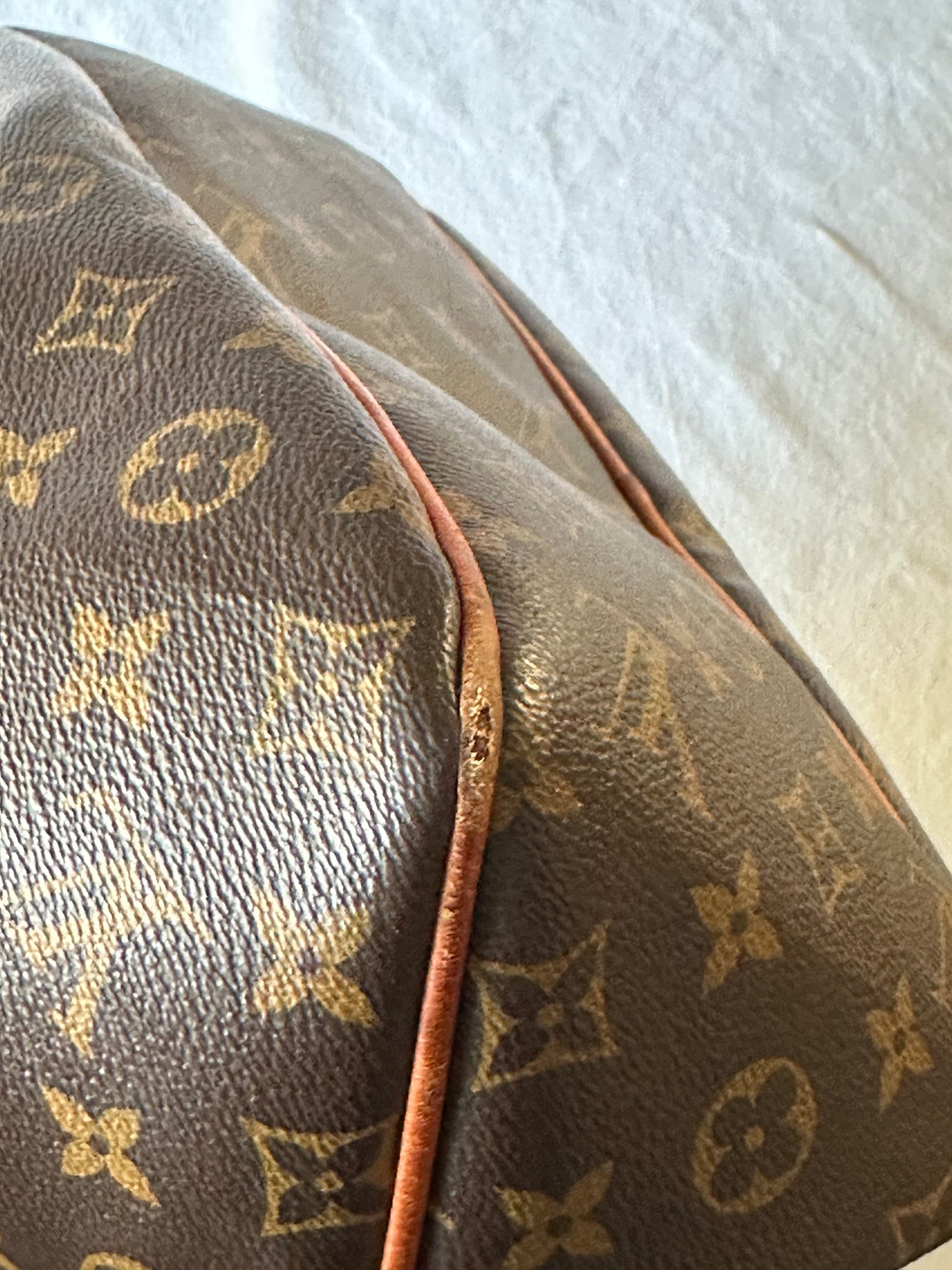 Louis Vuitton Delightful