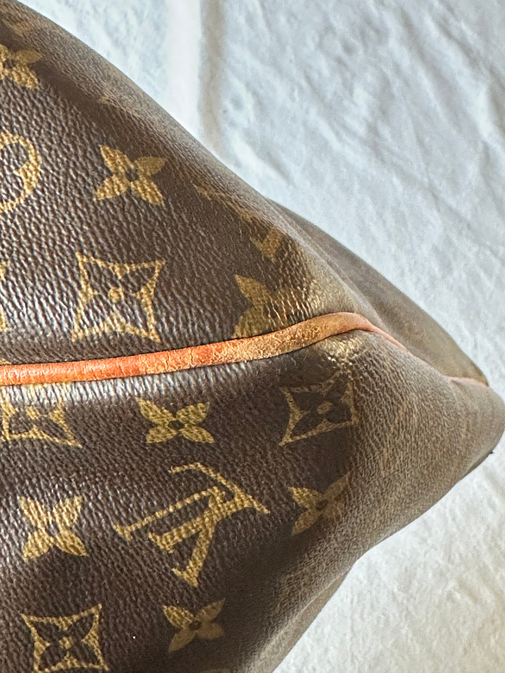 Louis Vuitton Delightful