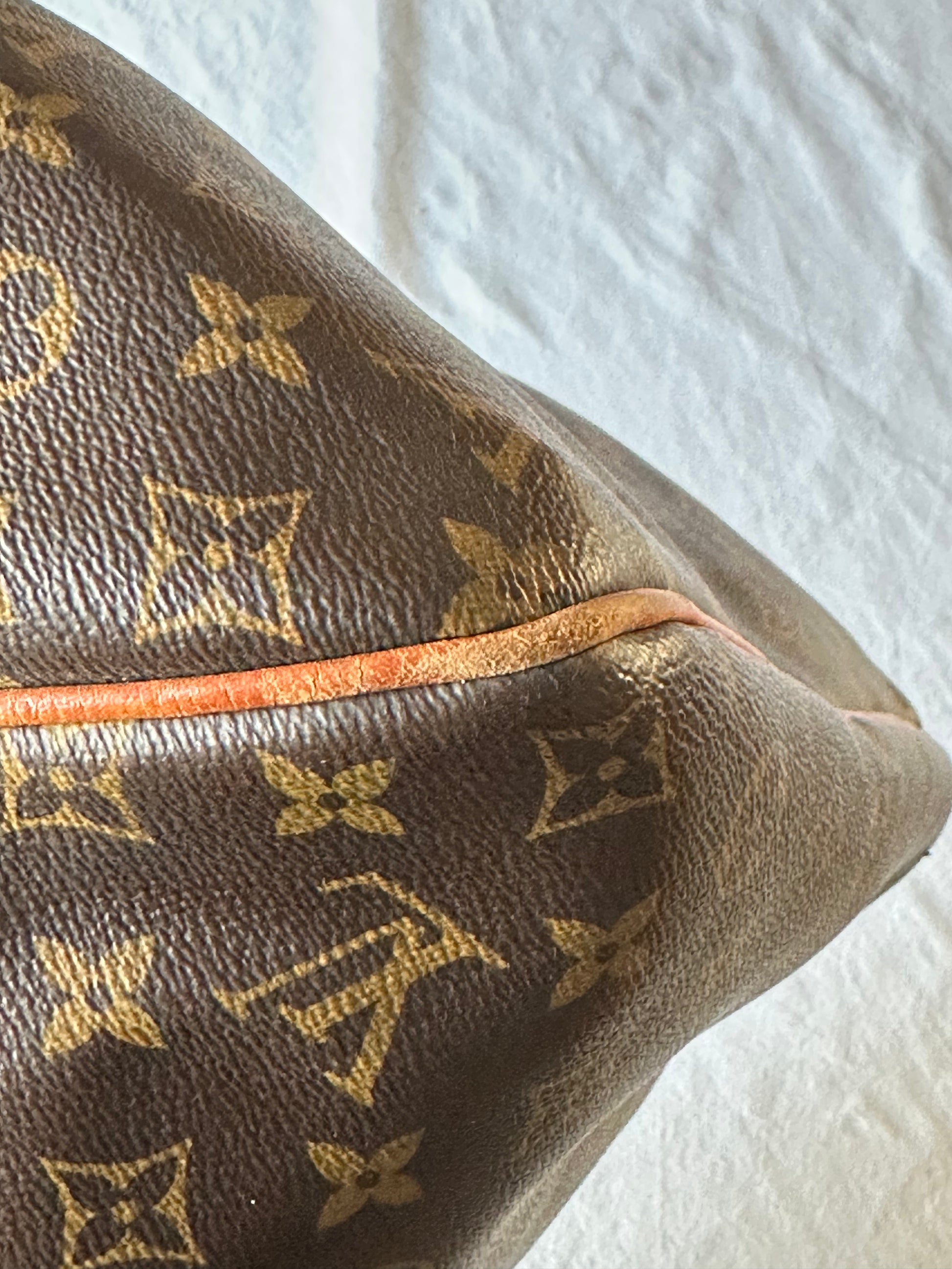 Louis Vuitton Delightful